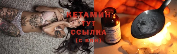 ПСИЛОЦИБИНОВЫЕ ГРИБЫ Богданович