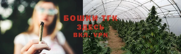 шишки Богородицк