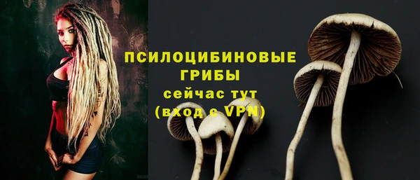 шишки Богородицк