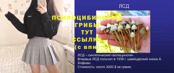 ПСИЛОЦИБИНОВЫЕ ГРИБЫ Богданович