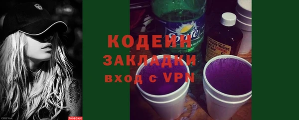 шишки Богородицк