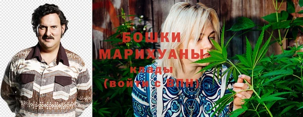 ПСИЛОЦИБИНОВЫЕ ГРИБЫ Богданович
