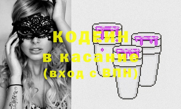 шишки Богородицк