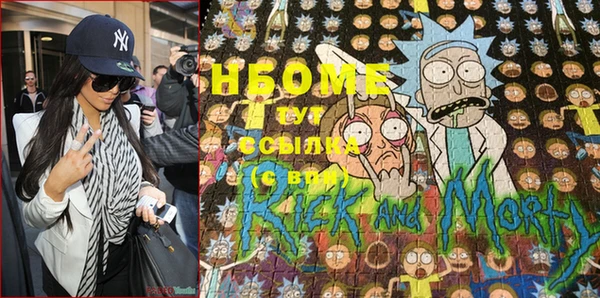 шишки Богородицк