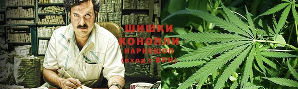 шишки Богородицк
