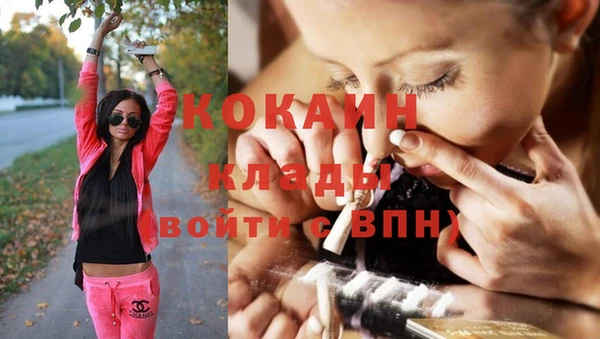 гашик Богородск