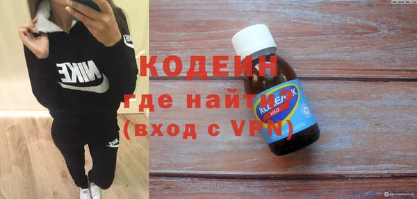 шишки Богородицк