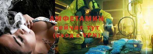 шишки Богородицк