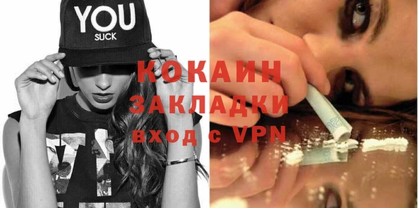ПСИЛОЦИБИНОВЫЕ ГРИБЫ Богданович