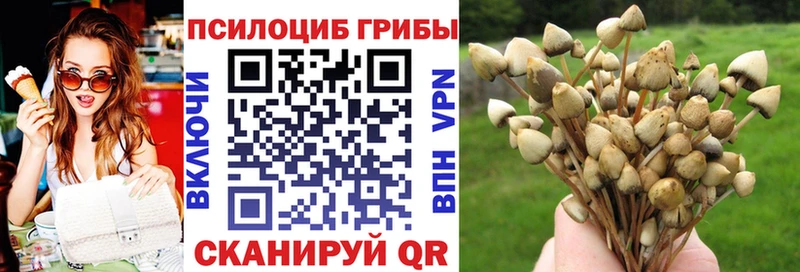 мега сайт  Кущёвская  Псилоцибиновые грибы ЛСД 